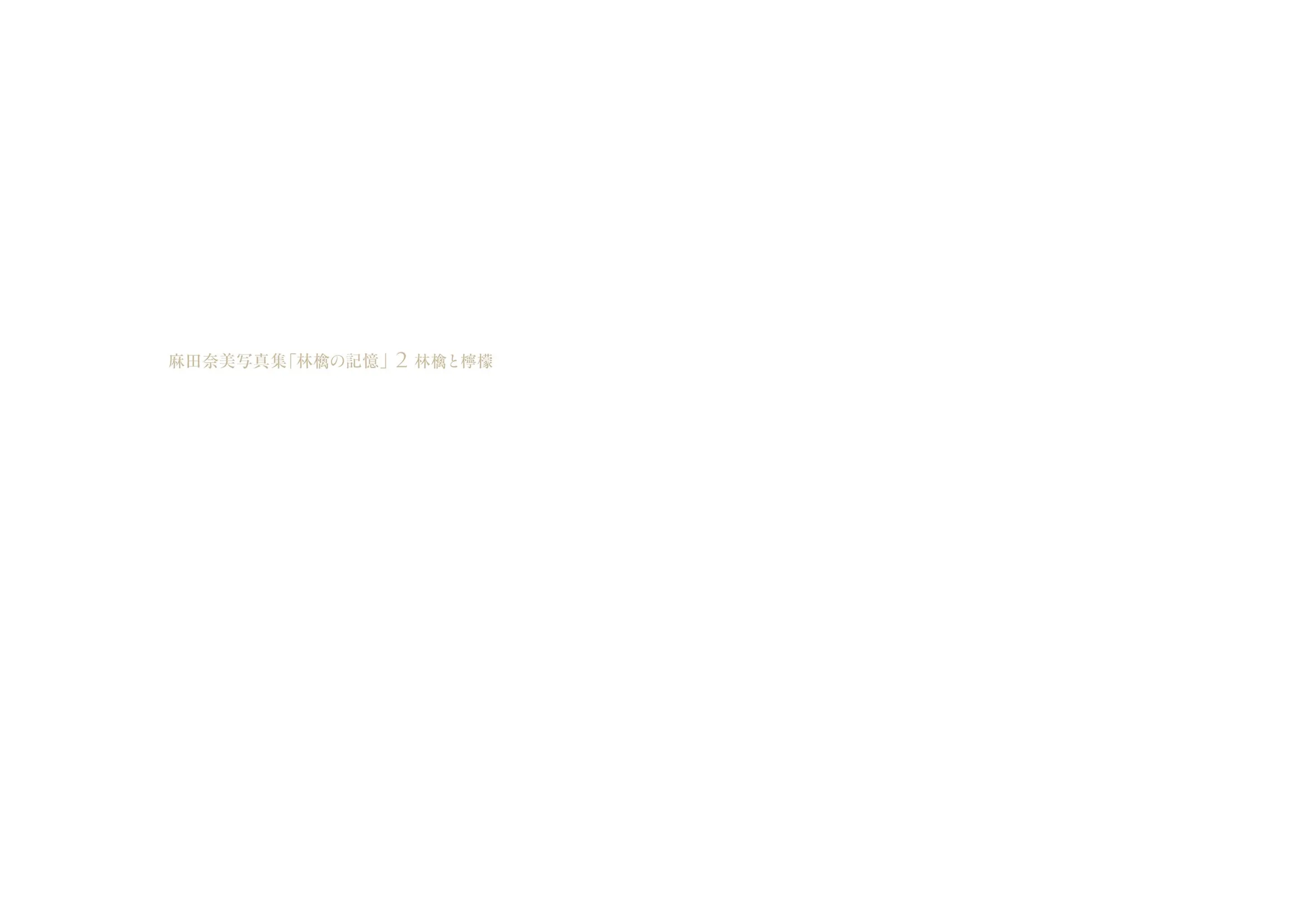 麻田奈美写真集「林檎の記憶」2 林檎と檸檬 サンプル